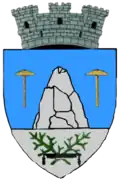 Coat of arms of Slănic