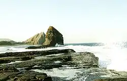 The Wild Coast