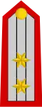 Lieutenant Colonel