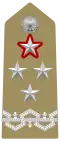 Shoulder insignia of a capo di Stato Maggiore dell'Esercito, with 'greca' at the bottom