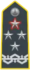 Shoulder insignia of a comandante generale of the Guardia di Finanza