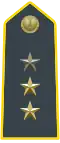 First Lieutenant - Acting Captain