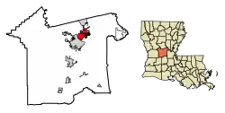 Location of Pineville in Rapides Parish, Louisiana.