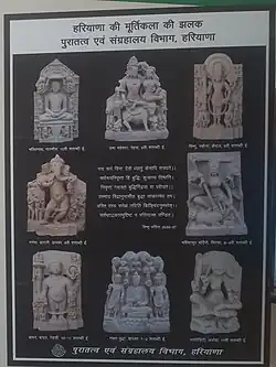 Rasina Kaithal Ror Village