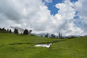 Meadows of Kunali near Musa ka Musala in Siran Valley c. October 2015