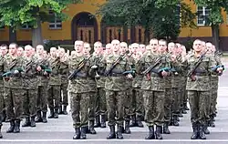 Polish military recruits being sworn in