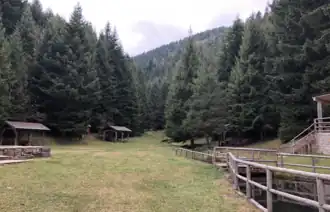 Shelters and evergreen trees