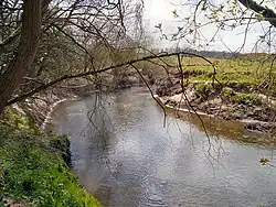 A river flowing through grassland