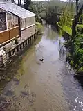 The river as it flows through the village of Stiffkey