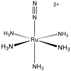 Pentaamine(dinitrogen)ruthenium(II), the first metal dinitrogen complex.