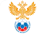 Shirt badge/Association crest