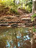 Stream in Rutgers Gardens
