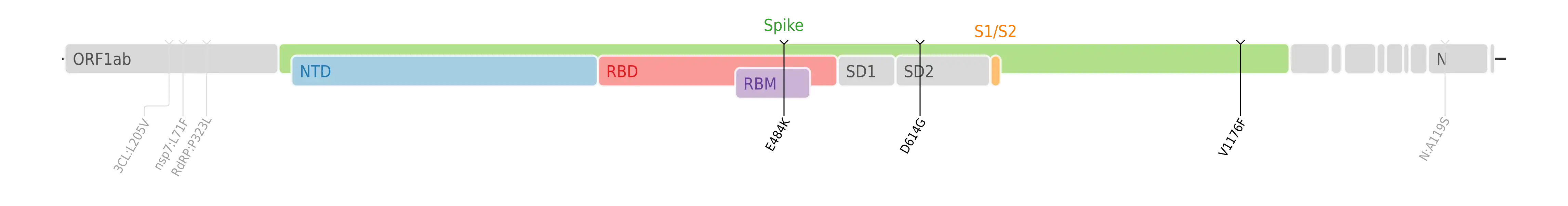 Amino acid mutations of SARS-CoV-2 Zeta variant plotted on a genome map of SARS-CoV-2 with a focus on the spike.[6]
