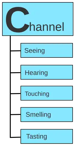 Diagram of the main features of the channel