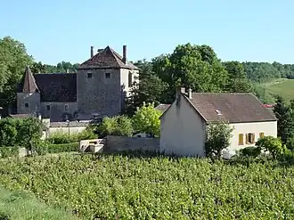 Vineyards and the chateau of Gamay