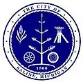Official seal of Saline, Michigan