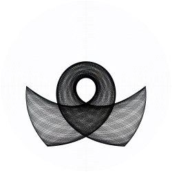 An orbit of the swinging Atwood's machine for , , and zero initial velocity.