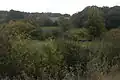 View south over water meadows towards Barn Copse and the edge of Dirty Ground Copse, with Gorse Covert beyond.