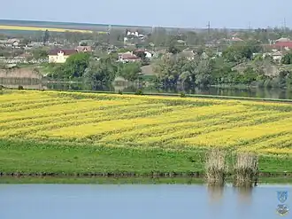 View over Negrești in 2016