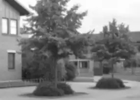 Scale-space representation '"`UNIQ--postMath-0000001F-QINU`"' at scale '"`UNIQ--postMath-00000020-QINU`"'