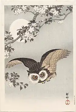 Scops Owl, Cherry Blossoms, and Moon, 1926