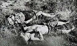 Two Finnish boys killed by partisans in Seitajärvi