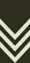Sergeant (Seychelles Infantry Unit)[91]