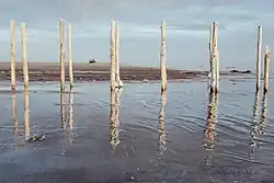 Remnants of a dilapidated dock, Sharafkhaneh port