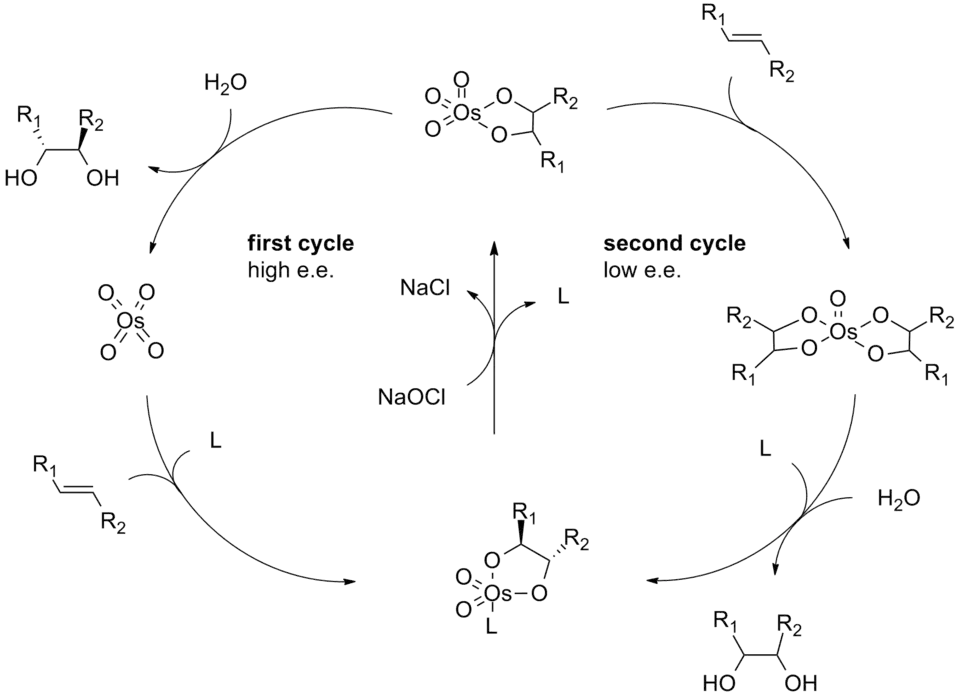 Catalytic cycle of the Sharpless asymmetric dihydroxylation