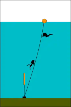 Bottom tensioned shotline: The line passes through a ring at the weight and is tensioned by a small float, often a small lift bag which can later help lift the shot as the air expands.