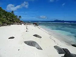 The Beach at Silhouette Island