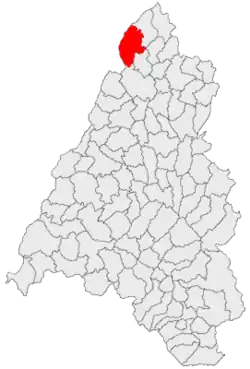 Location in Bihor County