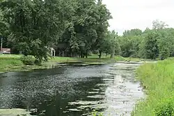 A slough of water surrounded by green grasses and trees