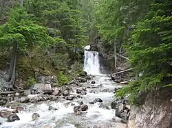 Along the road to Nakusp Hot Springs