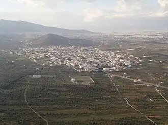 Aerial view of Spata with Athens in the background