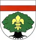 Coat of arms of Staré Buky