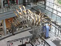 Stary Browar, Interior