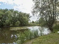 Czyste Pond in the Jeziorki Ditch drainage basin, reclaimed to increase retention capacity