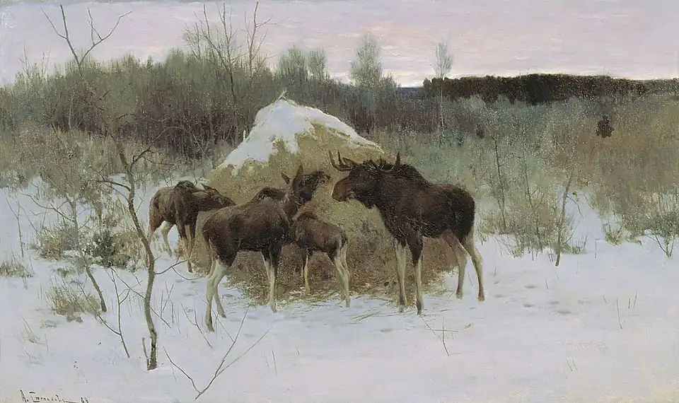 Moose Herd