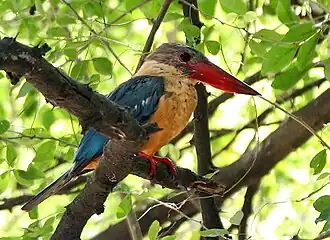 In Kolkata, West Bengal, India.