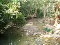 Stream at the foot of the mountain.