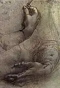 Drawing by Leonardo da Vinci