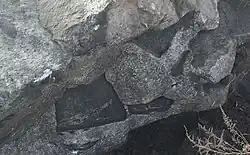 Suevite breccia from Sudbury impact event. The largest clast in the lower left center is 9" across.