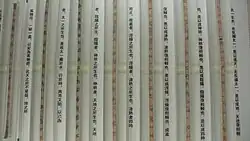 Photograph of strips of bamboo with vertical writing in an early Chinese seal script