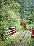 Taiping Mountain Bong Bong Train