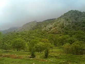 Tange deel around the Gachsaran city, Early spring