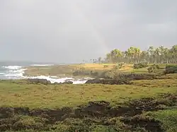 Coast of Tanna after rain.