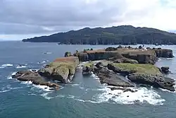 Tatoosh Island seen from the air looking SE to Cape Flattery