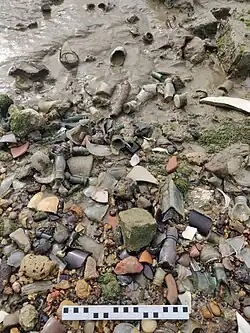 technofossils in inundated landfill deposits at East Tilbury on the River Thames estuary. The landfill is being eroded by tidal surges as sea level rises, leaving the waste in the water. Present are objects of glass, ceramic, brick, tile, concrete, etc.