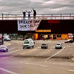 USA 2021, activists for wild salmon conservation